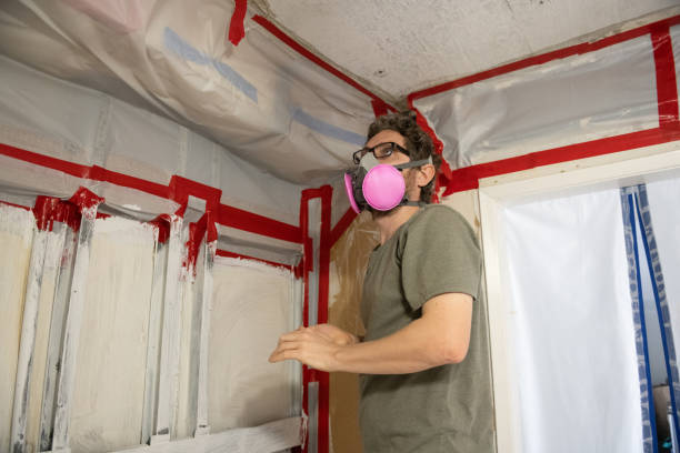 Environmental Consulting for Mold Prevention in Greentown, IN
